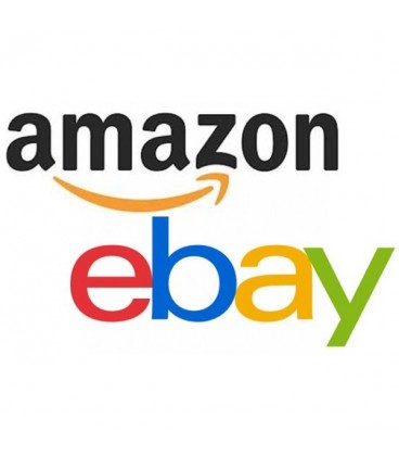 Nuestro Imperio con eBay y Amazon - Dropshipping